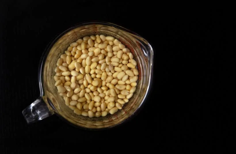 Soy Milk II