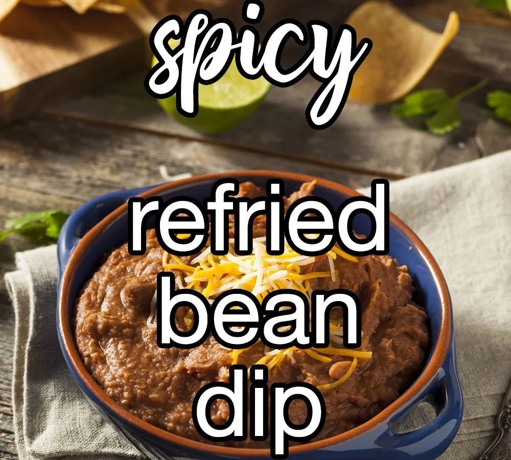 SPICY REFRIED BEAN DIP
