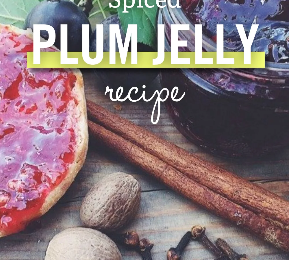 Sure−Jell® Plum Jelly