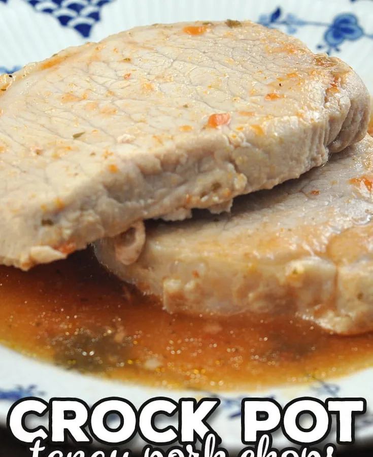 TANGY PORK CHOPS