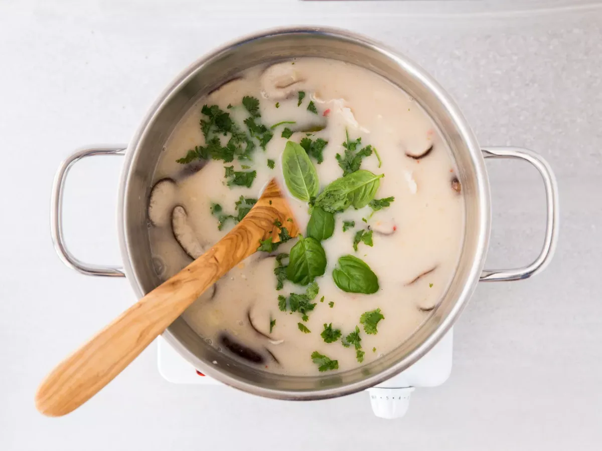 Thai Chicken and Coconut Milk Soup