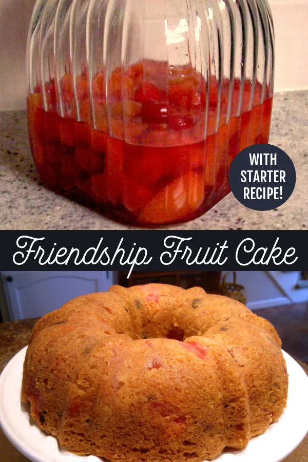 The Friendship Cake