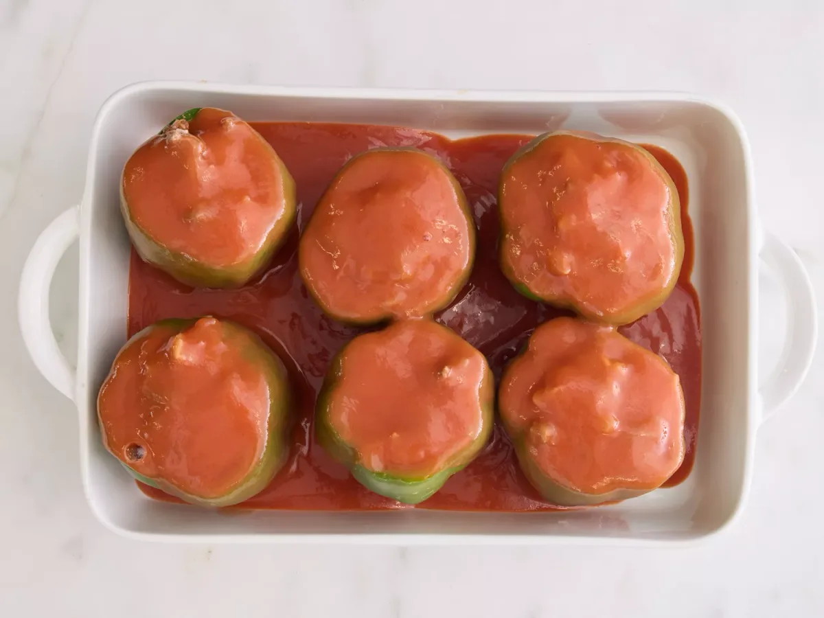 Tomato & Green Pepper Sandwich