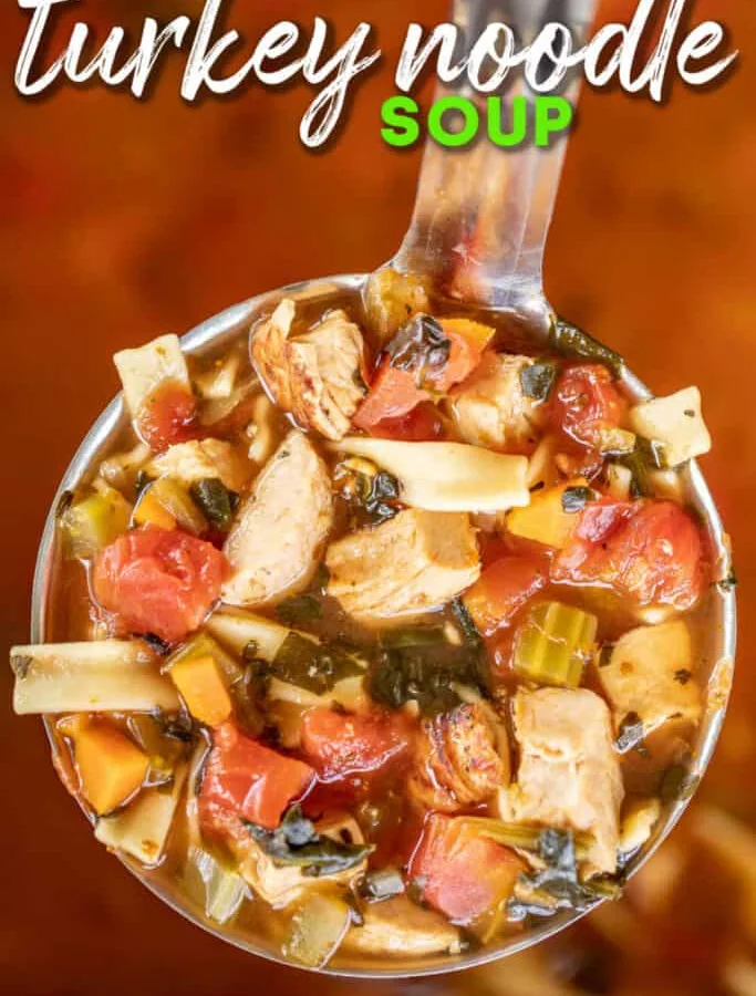 Turkey Noodle Soup Express