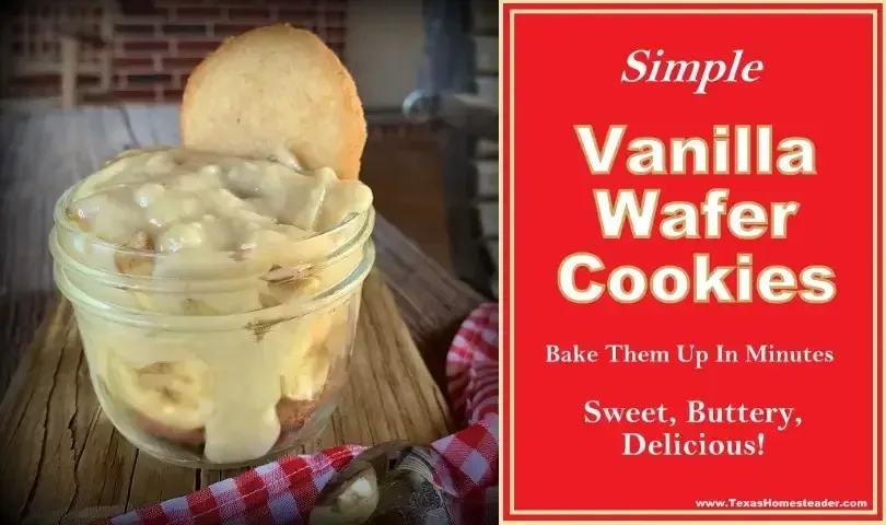 Vanilla Wafer Cookies