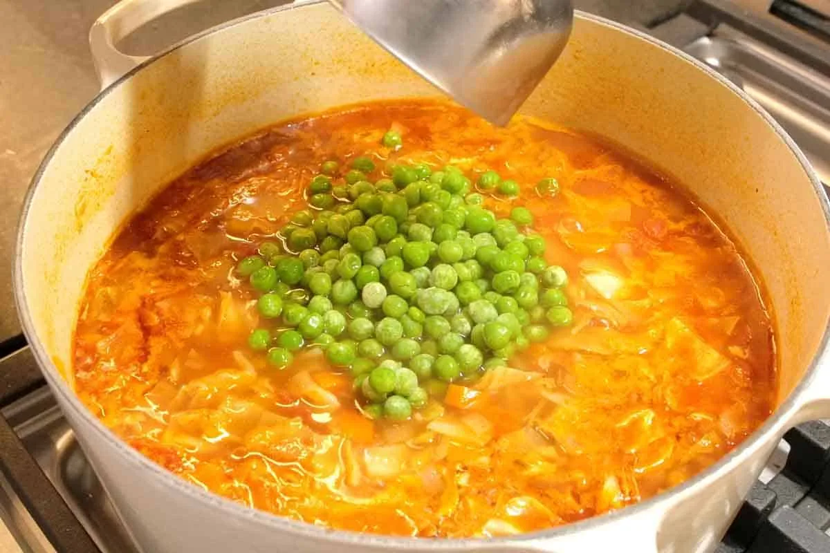 Vegetable Soup