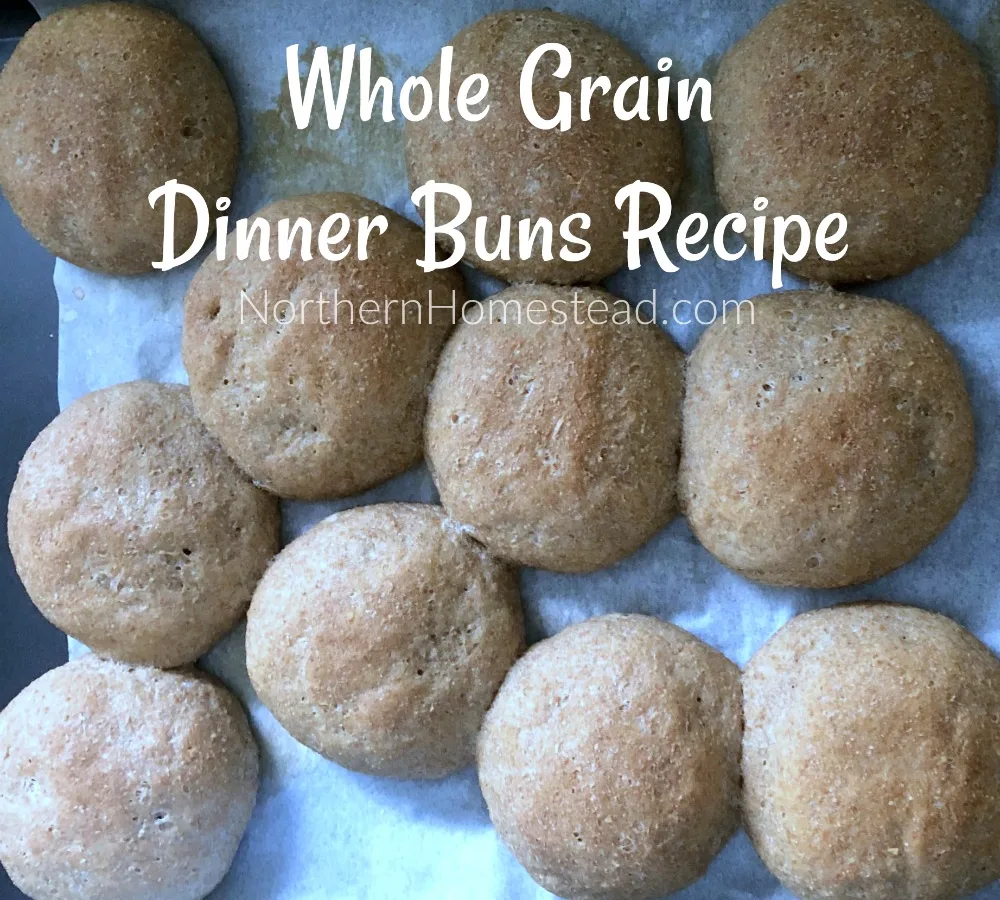 Whole Grain Buns