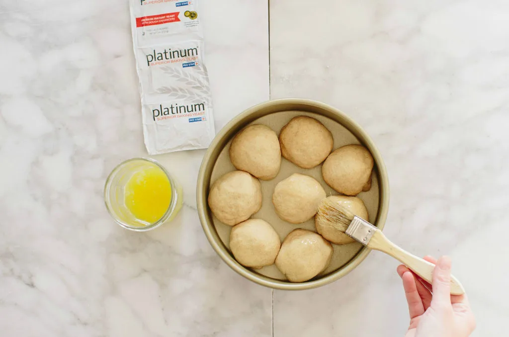 Whole Wheat Batter Rolls