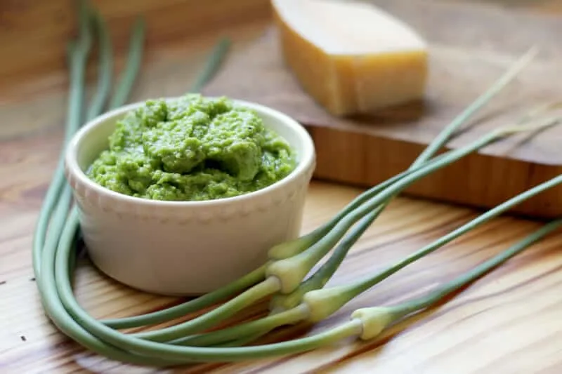 Zesto Pesto