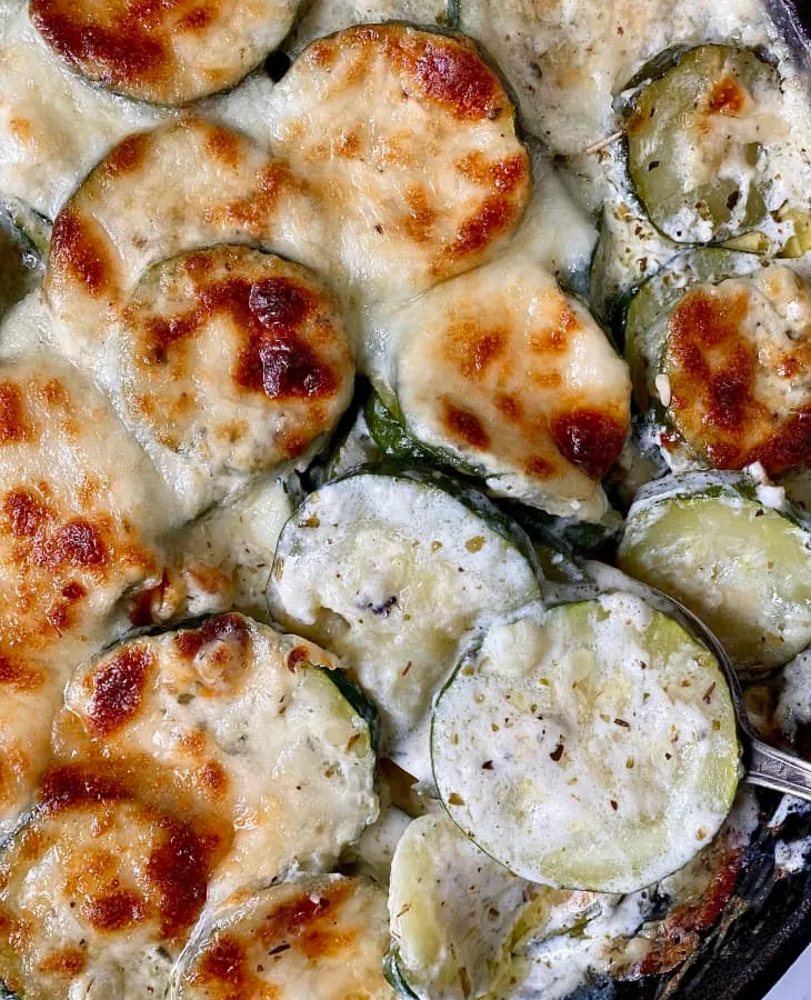 Zucchini, Sour Cream and Jack Cheese Bake