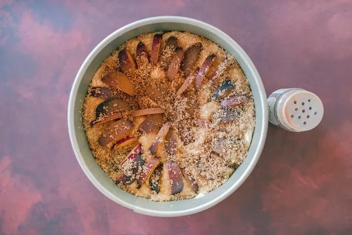 Zwetschgen Datchi (Bavarian Plum Cake)